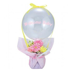 t[×o[AW EFJxr[ i ԁEO- A(s)yz