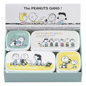 Xk[s[ V[e4_ZbgEA uCN^C SN-307 䏊EpiE[ 䏊e ۑe(s)