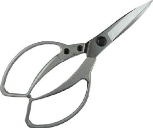 DAISHIN EG A~_CLXgADX 502105