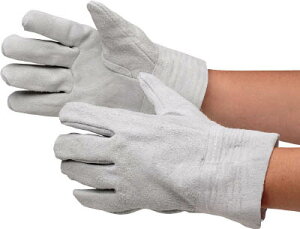 ~hS v D MT|101D MT101D