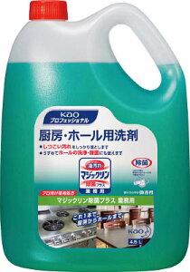 Kao }WbN ۃvX Ɩp 4D5L 505996