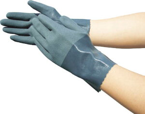 g ANeBuObvϖ LLy585-LLz(Ǝ܁EjgS)