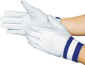 xmO[u F|806My5819z(Ǝ܁Ev)