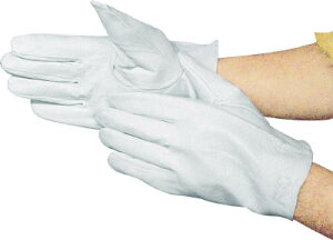 xmO[u F|808LLy5826z(Ǝ܁Ev)