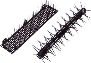 �~�c�M���� ���b�Q�����Ƃ�p�X 110×509×60mm�yT-PAS�z(�����P�@��E�h���E�E���p�i)