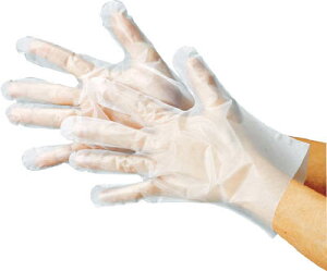 쐼 |G` OG{X100 STCYy2012-Sz(Ǝ܁EĝĎ)