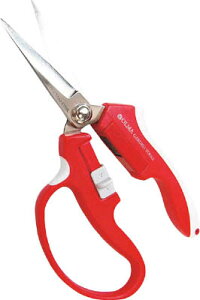 TV I} }Olbg ،^iԁjyMG-2Rz(ΉpiE|pnT~)