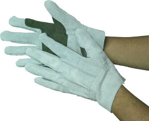 xmO[u JS|068M WXgICwDy5337z(Ǝ܁Ev)