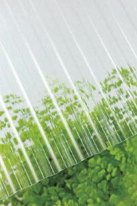 ^L |Jg 32g 6 610NAy217668z(zEHpԎd؂Eg)