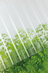 ^L |Jg 32g 7 610NAy217767z(zEHpԎd؂Eg)