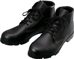 �V���� ���S�C �ҏ�C AS22 25�D0cm�yAS22-25.0�z(���S�C�E��ƌC�E���S�C)�y���������z