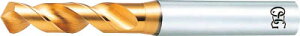 OSG EX�S�[���h�h���� �X�e�����X�E��|�p�X�^�u�yEX-SUS-GDS-19.0�z(�������H��E�n�C�X�R�[�e�B���O�h����)�y���������z