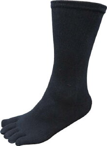 B 5{w\bNX ubN4gy6539z(SCEƌCEC)