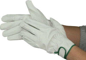 ӂ ؊v⋭Aet}WbN LLyR-24-LLz(Ǝ܁Ev)