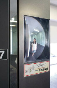 �R�~�[ FF�~���[EVE �O���g�p �X�Ίp0~10�x FVL16A�y���������z