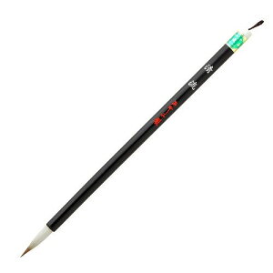 M  PS-110