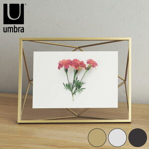 umbra Au tHgt[ KG  Ǌ| ʐ^ ʐ^ |XgJ[h 􉽊w` C[t[ }bguX ubN N k  20.5cm s7.6cm 15.3cm(s)