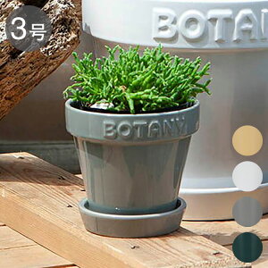 DULTON ダルトン 植木鉢 ボタニーポット 3号鉢 ガーデンポット ホワイト かわいい おしゃれ アメリカン ヴィンテージ感 プレゼント ギフト プチギフト(代引不可)