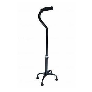 cӃvX egEPC a n Syz