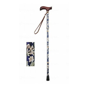 EFt@ CtXebL ܂肽ݐLk^ ԃlCr[yz