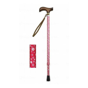 EFt@ CtXebL Lk^(X^Cv) ԃsNyz