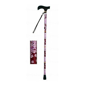 EFt@ CtXebL ܂肽ݐLk^ Cyz