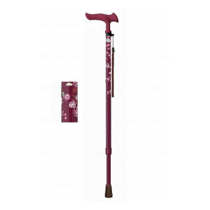 tWz[ 邪t@2 Lk ԃCyz