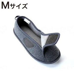 hЃ[V[Y O[ E 22cm 23cm MTCY  ЊQ h KXj R B(s)