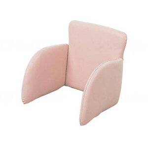 ItBX { Ԉ֎qps^bgNbV PT-CS-KU sN(s)yz