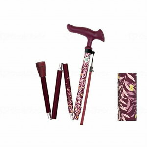 tWz[ 邪t@II ܏ [tC(s)yz