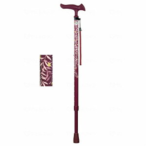 tWz[ 邪t@II Lk [tC(s)yz