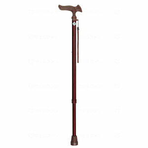 tWz[ 邪 I LkS Mp ؖڃ~fBA(s)yz