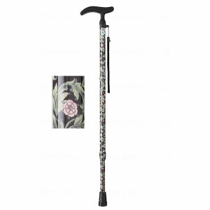 tWz[ ANeBu O[X LkS ubN(s)yz