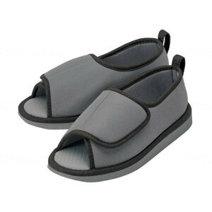 | ]|\hV[Y ܐȂ O[ M 091303(s)