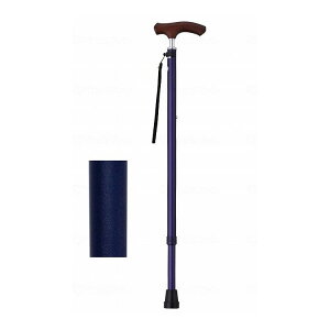 EFt@ CtXebL XlbNLkx[VbN^Cv(n) lCr[ Mtg{bNXdl 009732(s)yz