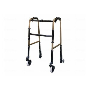 ANVWp LX^[(LR)ts RpNg^Cv/uY/- uY - C2021CLR-BR 663057_1006_-(s)yz