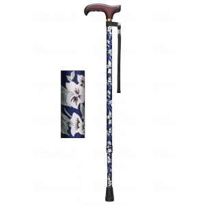 tWz[ x[VbN LkS/ԕ/ ԕ WB3718 386154 2156 1{(s)yz