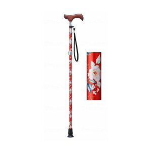 PCEzXsA EV[Y ܂肽݃^Cv/bhni/- E-253B bhni 1{ 391184 11445 -(s)yz