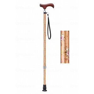 1{ PCEzXsA EV[Y Lk/IWԕ/- IWԕ E-256A 391182_11873_-(s)yz