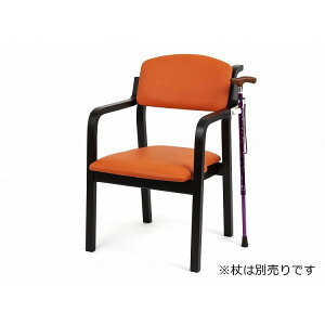 1r ItBXE{ GRm`FA EbfB R[eBOȂ/_[Nt[/IW/- _[Nt[/IW EC-WD24VDKOR 583542_12327_-(s)yz