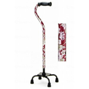 }LebN A~4_x 50V[Y/ԉԕ/-(s)yz