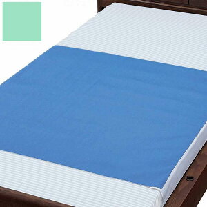 �E�F���t�@�� �f�j���h���V�[�c(�唻�^�C�v)/�O���[��/�唻/�P�[�X(����s��)�y���������z