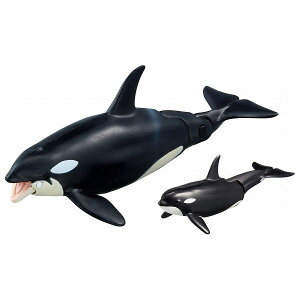 AjA AL-08 V`eq ɕVer. ^Jg~[ ߋ  NX}Xv[g