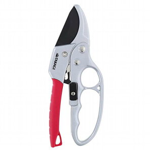 ^JM tbfn`Fbg 2010442(s)yz