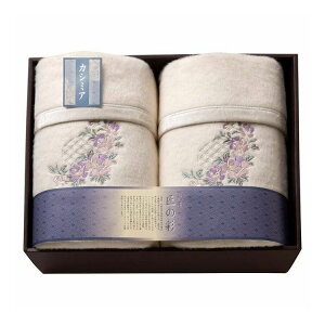 B̍ JV~AE[ȖѕzщH 2P SHW-50051C(s)yz