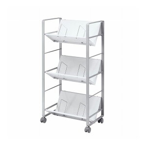 t@CS 3i WG-100N2(s)yz