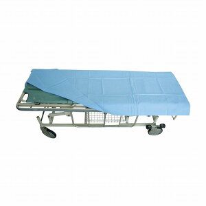 �����V�[�c S�^�C�v FR-5335 �u���[ 10�}�C