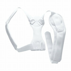 NrNohEII LL 17541 1RC 100-130CMyz