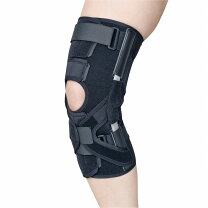 楽天市場】シグマックス エクスエイドニーaclの通販