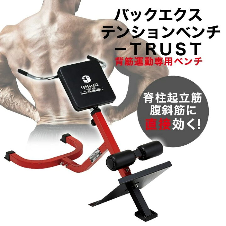 楽天市場】ファイティングロード バックエクステンションベンチ TRUST 